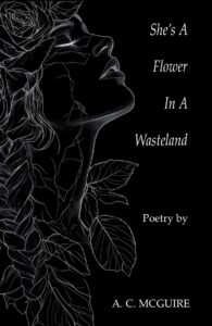 christian poetry book