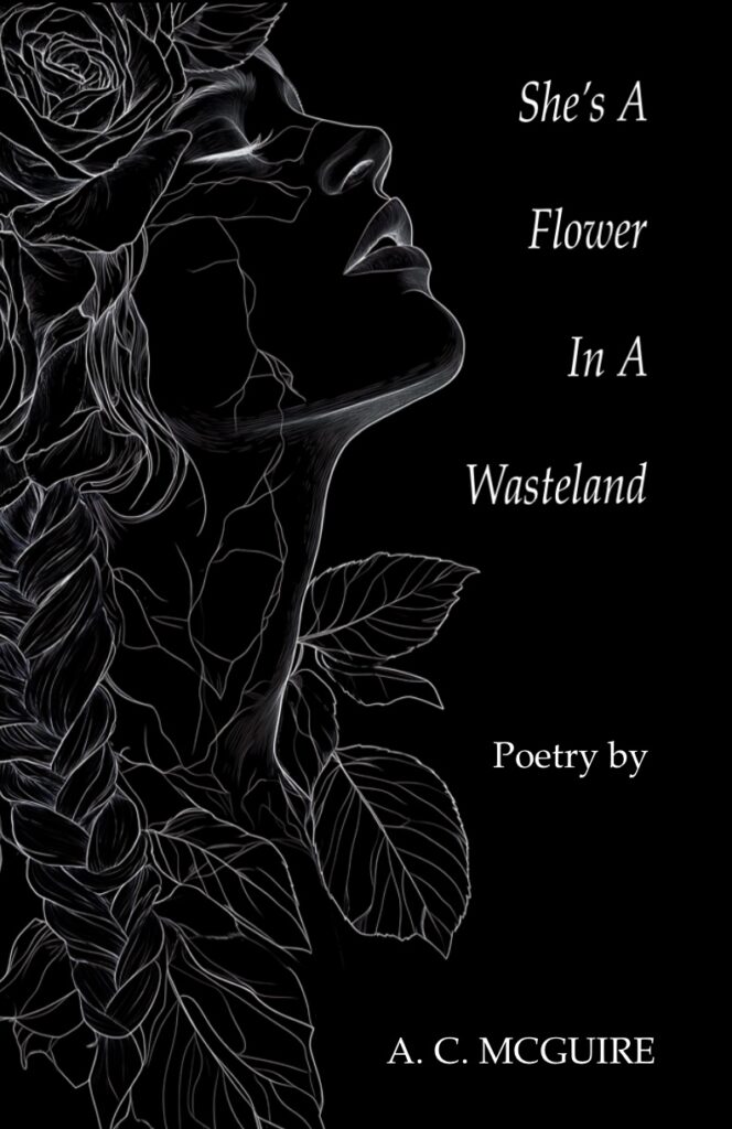 christian poetry book